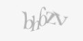 FORM_CAPTCHA