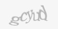 FORM_CAPTCHA