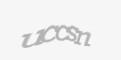 FORM_CAPTCHA