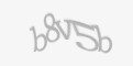 FORM_CAPTCHA