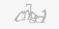 FORM_CAPTCHA