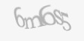 FORM_CAPTCHA