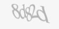 FORM_CAPTCHA