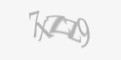 FORM_CAPTCHA