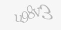 FORM_CAPTCHA