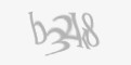 FORM_CAPTCHA